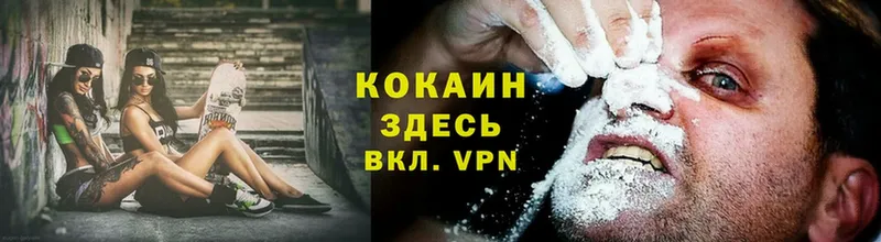 маркетплейс наркотические препараты  Горняк  Cocaine Эквадор 